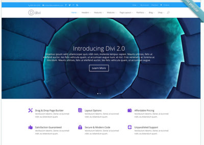Divi – The multifaceted Template